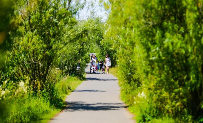 The path around the lake is around a mile in length and completely flat so it's the perfect stroll (or run!), for all ages and abilities.